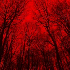 NOCTURNAL PANIC
