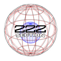 222section