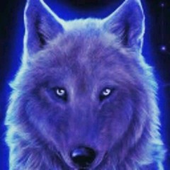 DarkenWolf365