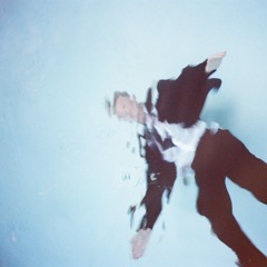 seb wildblood