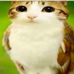 chuulindona