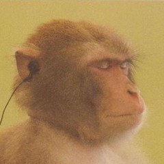 Bluemonkeyaudio