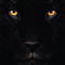 CTheProdigy
