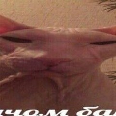 гей_на_сметане