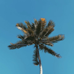 MNCN