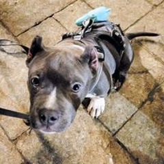 Hope Raegan Louise Gatchell