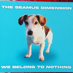 The Seamus dimension