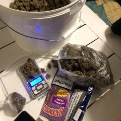 montanaexclusives
