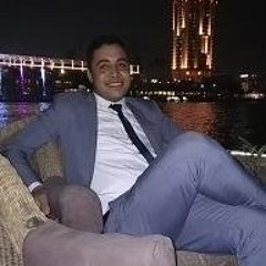 mohamed halawa
