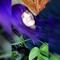 Brooke 👽🍄🌸🔮✨️🌈