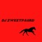 DJ ZWEETPAARD