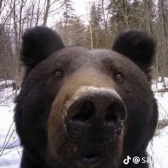 грустный плейлист