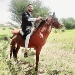 احمد محمود نور الدين