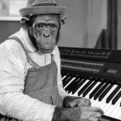 keyboard monkeys
