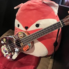 Space Fox & The Other Misfits