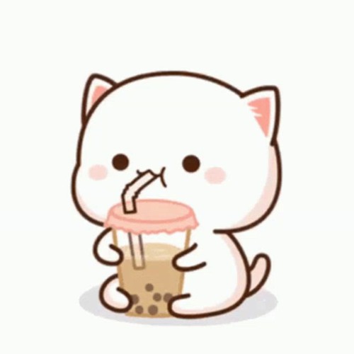Boba Kitty’s avatar
