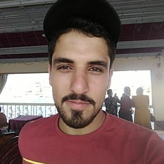salah elnagar