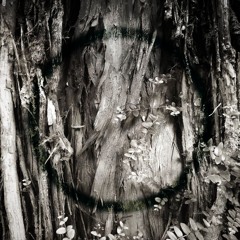 emptyvessel