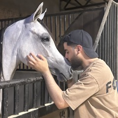 BAQ