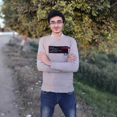 محمد السيد