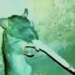 RatArtist