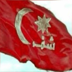 الشمري