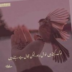 Sheri Malik