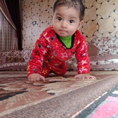 ahmed alsabesy