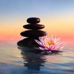 Mindfulness by Deborah