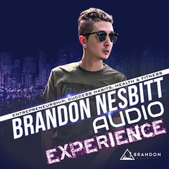The Brandon Nesbitt Audio Experience