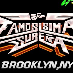 PUBLICIDADES FAMOSISIMA SUREÑA