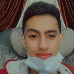 Amjad Al Arini