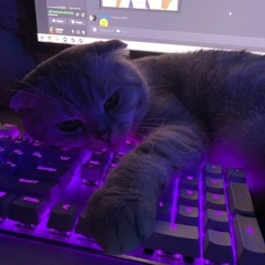 𝕊𝕆𝕃𝕆𝔻𝕊𝕆𝕌ℕ𝔻𝕊