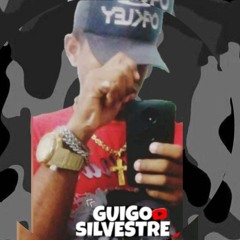 GUIGO SILVESTRE_ LIGHT
