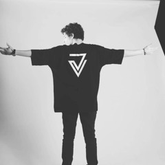 V I N Y L