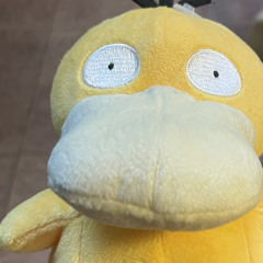duolcdnuos2