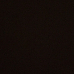 dontletuppp