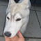 leona_mcg