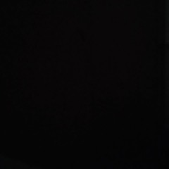 fatemeh.hosseini