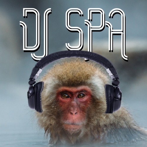 DJ Spa Mashups’s avatar