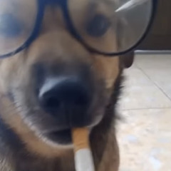 Tiến Thành🎶 ✅