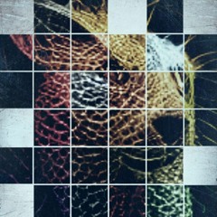 SoulRidR