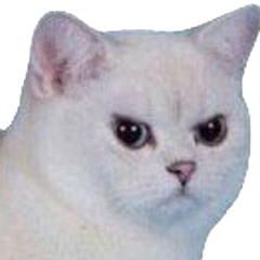 RodrigoMM