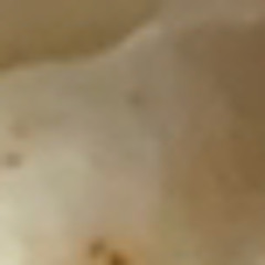 wojak conners