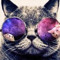 SwagDubstepCat