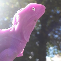 gay