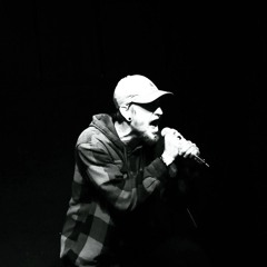 Stollgan