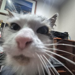 Xx_GobbleSwabGooberGamerOfficialNo.45_xX@yahoo.com