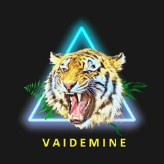 Vaidemine