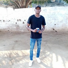 Petelson galante
